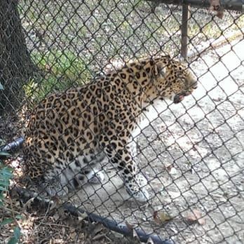 Jackson Zoological Park - Zoos Near Me - Jackson, Mississippi
