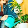 Photo of Potted In Portland