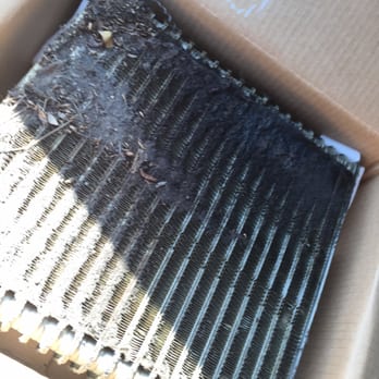 Mike's Garage - This is supposedly new evaporator replaced 8 mos ago. - Tires Near Me - Tallahassee, Florida Mike's Garage - This is supposedly new evaporator replaced 8 mos ago. - Tires Near Me - Tallahassee, Florida