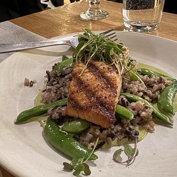 True Food Kitchen - Salmon - New American Near Me - Denver, Colorado