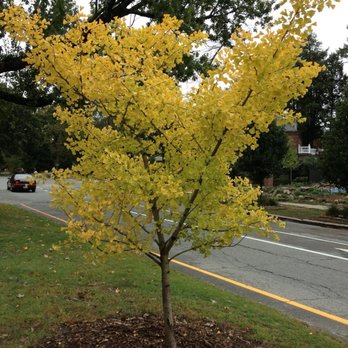 Blackstone Boulevard Walking Path - Parks Near Me - Providence, Rhode Island