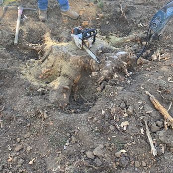 Ramirez design custom concrete - Tree stump - Tree Services Near Me