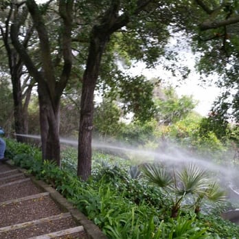 Love's Pest Control - Pest Control Near Me Love's Pest Control - Pest Control Near Me