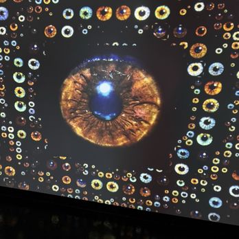 WNDR Museum - My eye - Art Museums Near Me - Chicago, Illinois