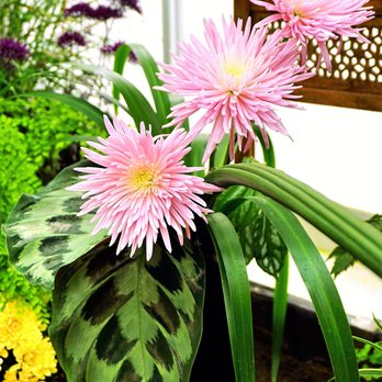 Volunteer Park Conservatory - Ikebana by Woafinn Kim. - Parks Near Me - Seattle, Washington