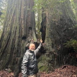 Richardson Grove State Park - Redwood twosome