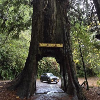 Marin Mazda - Avenue of the Giants - Car Dealers Near Me - San Rafael, California Marin Mazda - Avenue of the Giants - Car Dealers Near Me - San Rafael, California
