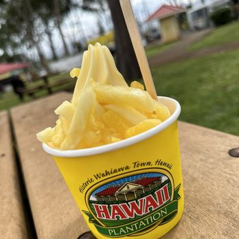 E Noa Tours - Tours Near Me - Honolulu, Hawaii