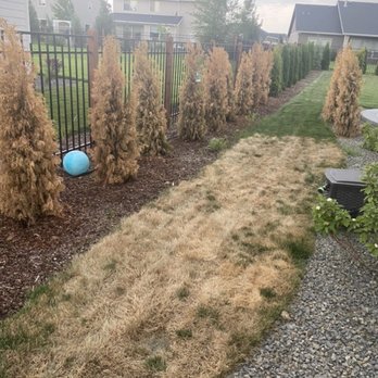 Three Leaf Lawn Care - Lawn Services Near Me Three Leaf Lawn Care - Lawn Services Near Me