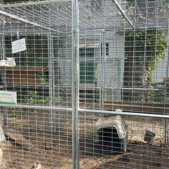 Plumpton Park Zoo - One of the fox enclosures - Zoos Near Me - Rising Sun, Maryland