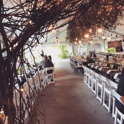 Camrose Hill Flower Studio & Farm