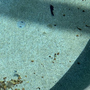 Poolside Phoenix - My dirty uncleaned pool after the cleaned pool report was sent via email - Pool Cleaners Near Me - Peoria, Arizona Poolside Phoenix - My dirty uncleaned pool after the cleaned pool report was sent via email - Pool Cleaners Near Me - Peoria, Arizona
