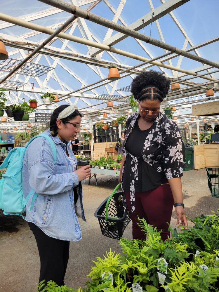 THE PLANT NURSE JAYB Updated June 2024 Lynnwood, Washington Nurseries & Gardening Phone