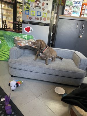 Spud Muffins Experss