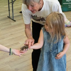 La Maternelle French Academy - Houston Museum of Natural Science - Bugs on Wheels annual visit