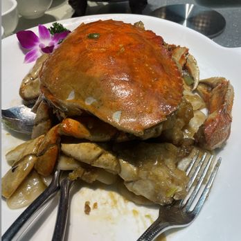 Shanghailander Palace - Crab - Shanghainese Near Me - Arcadia, California Shanghailander Palace - Crab - Shanghainese Near Me - Arcadia, California