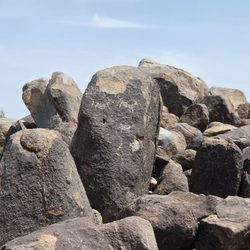 Saguaro National Park  - Tucson - Petroglyphs at Signal Hill  08-28-2026