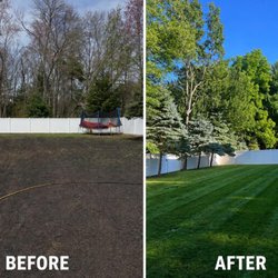 Ampla Landscaping