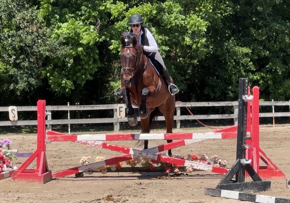 Tavia Equine Center - equestrian in St. Rose, LA