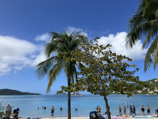 Magens Bay Beach by null