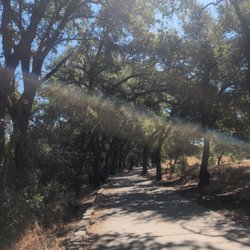 Walking trail!
