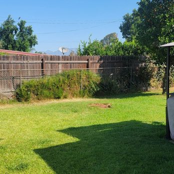 tree service - After - Tree Services Near Me tree service - After - Tree Services Near Me