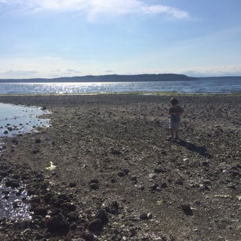 Saltwater State Park - Tide coming in. - Parks Near Me - Des Moines, Washington Saltwater State Park - Tide coming in. - Parks Near Me - Des Moines, Washington