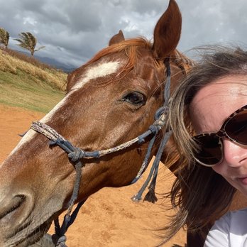 CJM Stables - Primo the sweetest horse - Horseback Riding Near Me