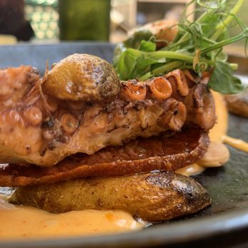 Avocado Grill - Octopus (Hot) - Tapas/Small Plates Near Me - West Palm Beach, Florida Avocado Grill - Octopus (Hot) - Tapas/Small Plates Near Me - West Palm Beach, Florida