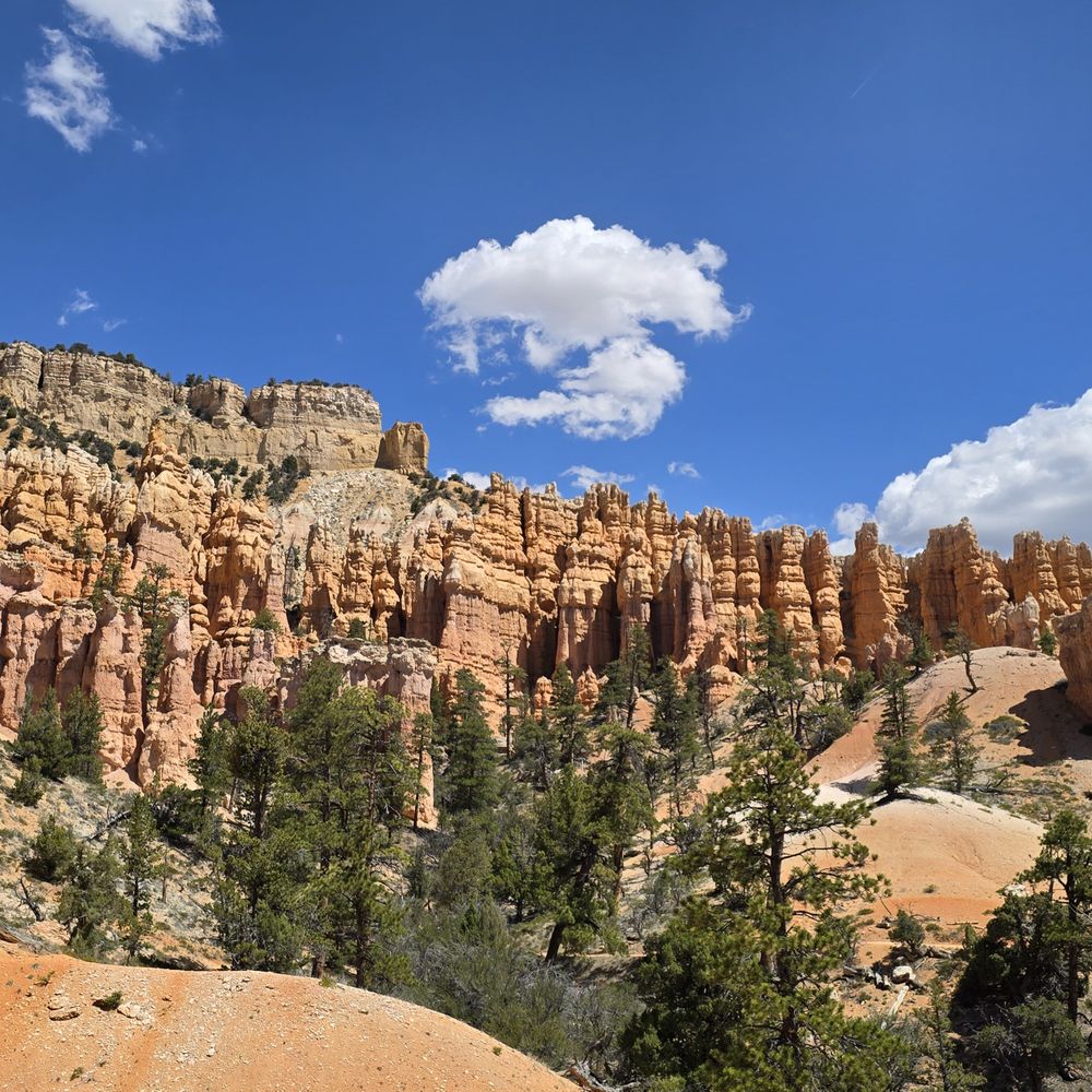 Fairyland Loop Trail - Hiking Near Me - Bryce Canyon, Utah