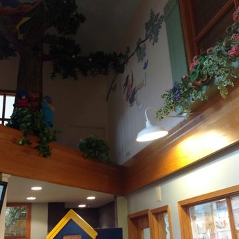 Jaime L Steele, DDS, MSD - The waiting room. Even the ceiling is neat! - Pediatric Dentists Near Me - Indianapolis, Indiana Jaime L Steele, DDS, MSD - The waiting room. Even the ceiling is neat! - Pediatric Dentists Near Me - Indianapolis, Indiana