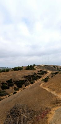 Ascot Hills Park by null