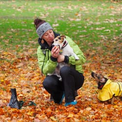 NW Adventure Dogs - Billy and Toby