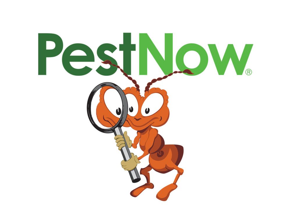 PEST NOW OF VIRGINIA, Sterling, Virginia 22395 Powers Ct Updated