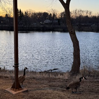 Doc's Landing - The lake with geese - Sports Bars Near Me - Saint Paul, Minnesota