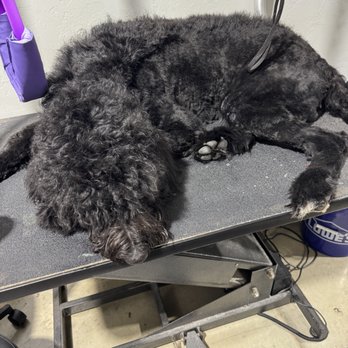 Barkley's Dog Wash - Pet Groomers Near Me - Shawnee, Oklahoma Barkley's Dog Wash - Pet Groomers Near Me - Shawnee, Oklahoma