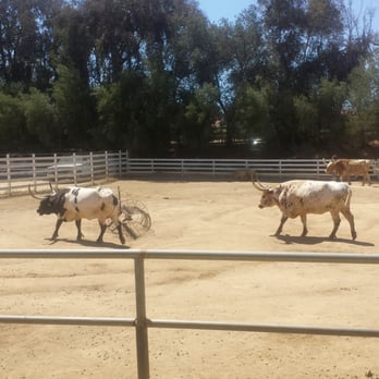 Leonis Adobe & Plummer House Museum - Museums Near Me - Calabasas, California