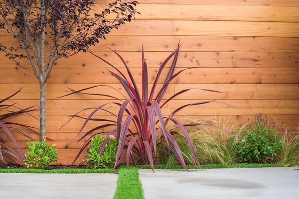 Backyard Design & Build By Lush Gardens Inc - This Project Includes Landscape Design, Concrete Patio, Lighting, Artificial Grass, Outdoor Bench & Tiled Wall By Lush Gardens Inc. Backyard Design & Build By Lush Gardens Inc - This Project Includes Landscape Design, Concrete Patio, Lighting, Artificial Grass, Outdoor Bench & Tiled Wall By Lush Gardens Inc.
