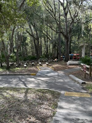 Manatee Springs by null