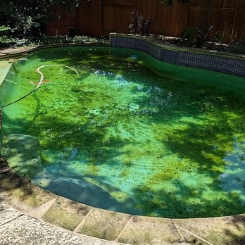 Powerhouse Pool Care and Repair - Pool & Hot Tub Service Near Me - Georgetown, Texas Powerhouse Pool Care and Repair - Pool & Hot Tub Service Near Me - Georgetown, Texas