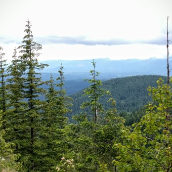 High Point Trailhead - Green!!! - Hiking Near Me - Issaquah, Washington