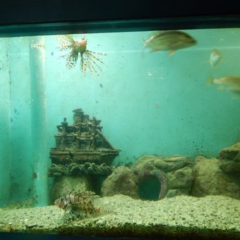 Tortuganja / Turtle Farm - Parks Near Me - Quintana Roo, ROO