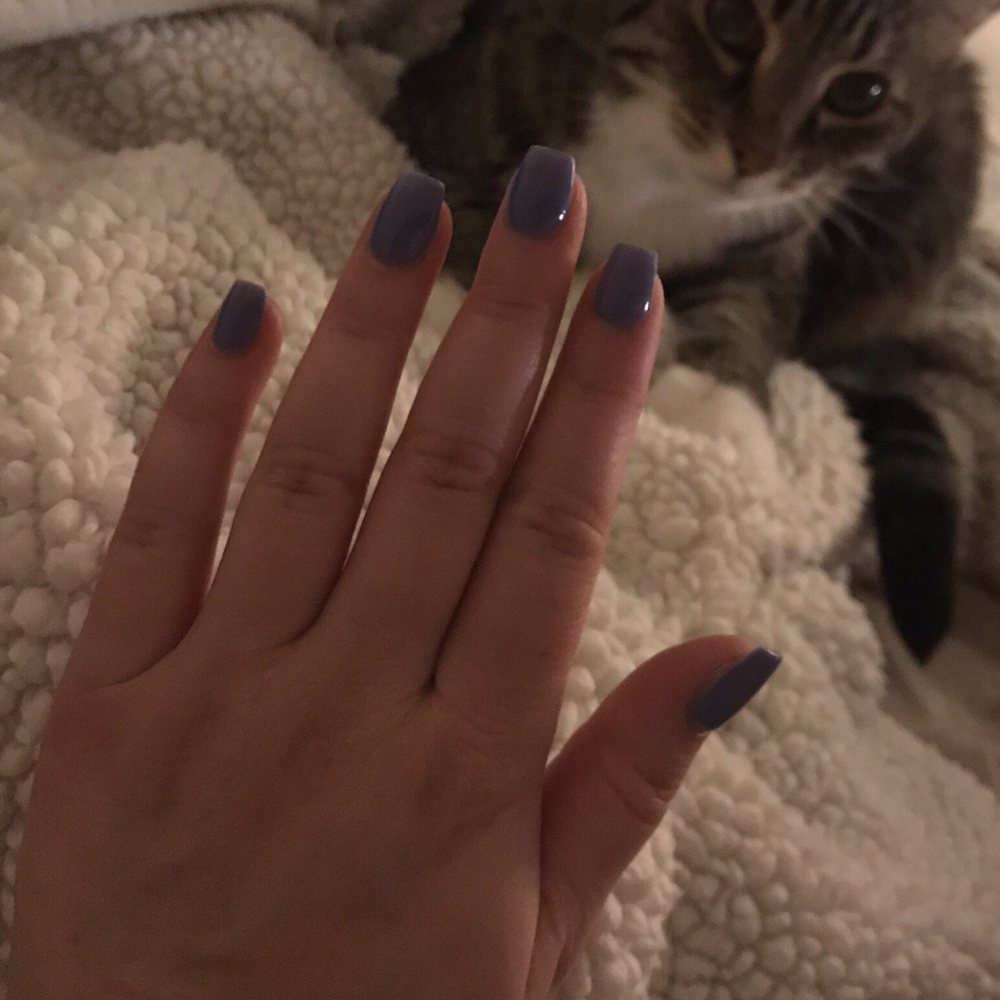 Lashes N Nails - My kitty & I are moving so I had to cut them short but they're still beautiful - Nail Salons Near Me - Tempe, Arizona Lashes N Nails - My kitty & I are moving so I had to cut them short but they're still beautiful - Nail Salons Near Me - Tempe, Arizona