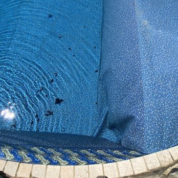 Brown's Pools and Spas - Epic fail! - Pool Cleaners Near Me - Douglasville, Georgia Brown's Pools and Spas - Epic fail! - Pool Cleaners Near Me - Douglasville, Georgia