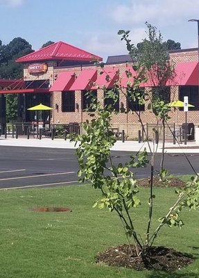 Sheetz by null