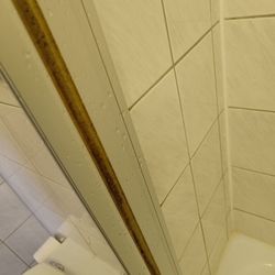 Hotel Badischer Hof - Schimmel in der duche..nicht richtig sauber..algemeen nicht sauber