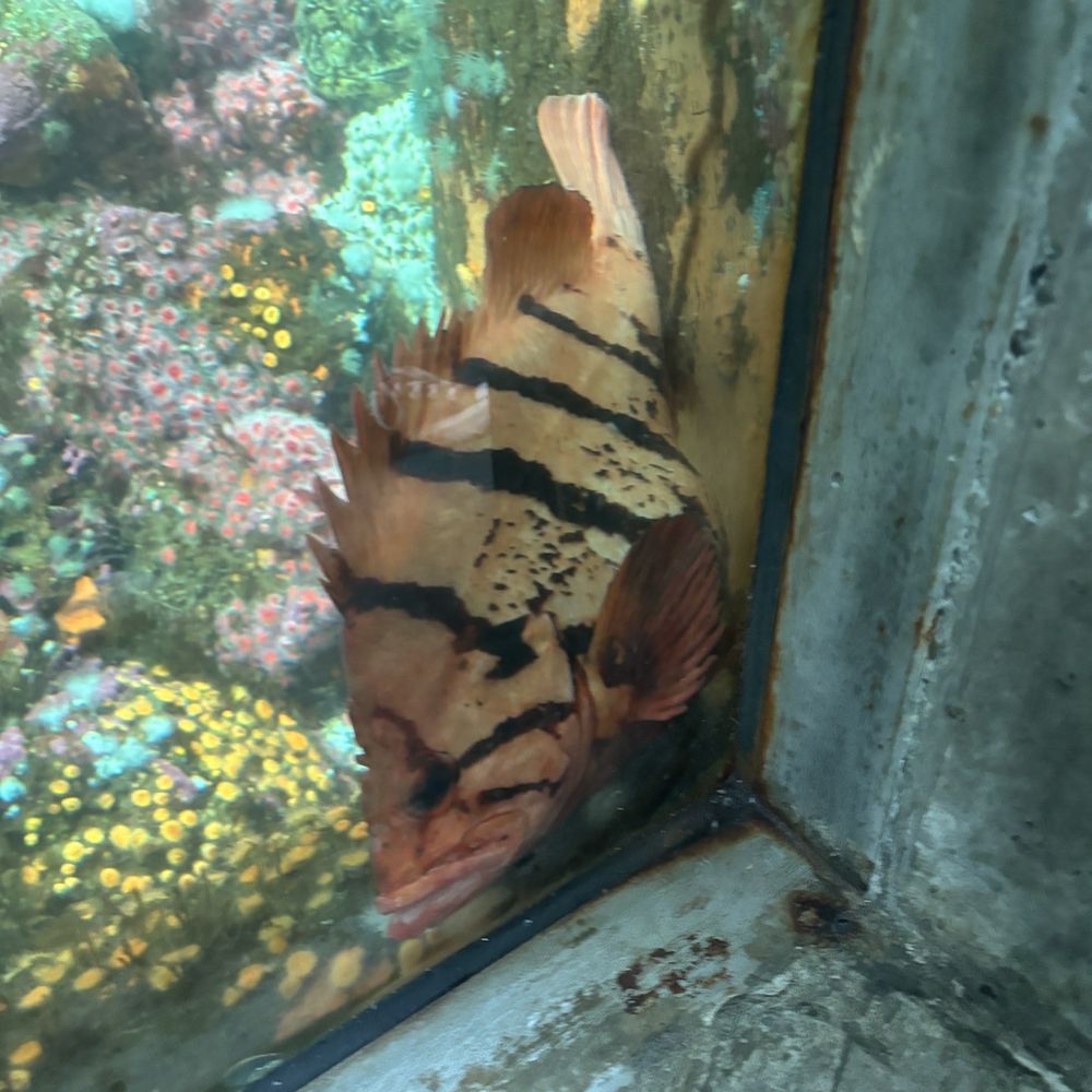 Seattle Aquarium - Aquarium - Aquariums Near Me - Seattle, Washington Seattle Aquarium - Aquarium - Aquariums Near Me - Seattle, Washington