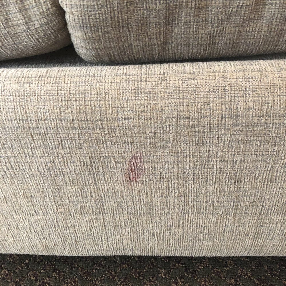 Homestead - What stain is this? Where's a CSI team when you need one? - Hotels Near Me - Midway, Utah Homestead - What stain is this? Where's a CSI team when you need one? - Hotels Near Me - Midway, Utah