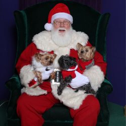 Volusia Mall - Merry Christmas 2022