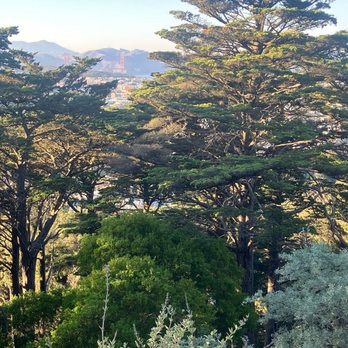 Buena Vista Park - Views - Parks Near Me - San Francisco, California Buena Vista Park - Views - Parks Near Me - San Francisco, California